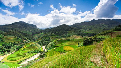 企业宣传片：浙江中科中植您的高原植物专家